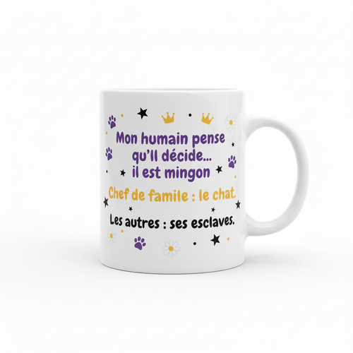 Mug Chat - Ici c'est moi qui commande