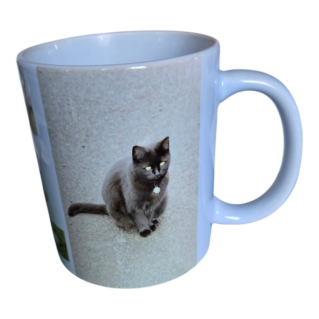 Mug Réglisse & compagnie -mug chat